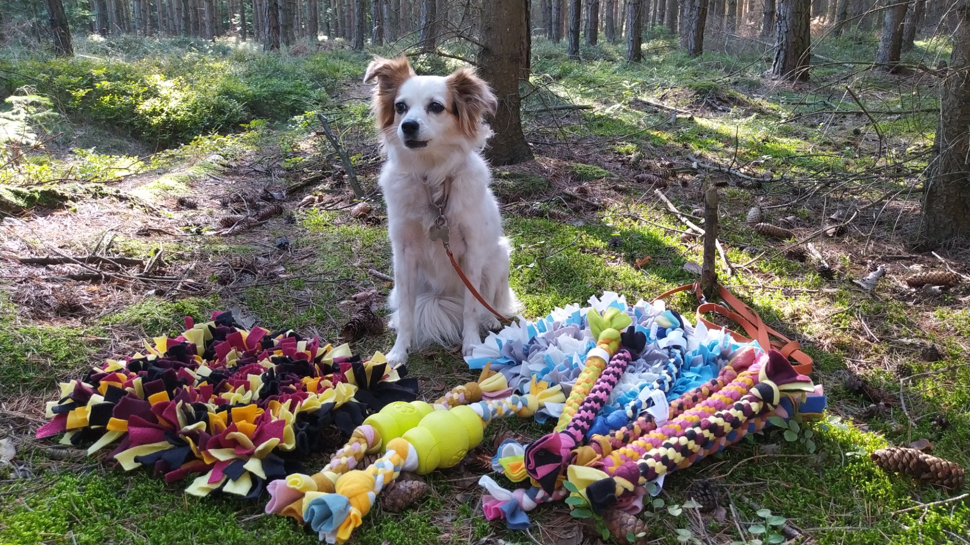 Ruční výroba hraček pro Vaše zvířecí miláčky